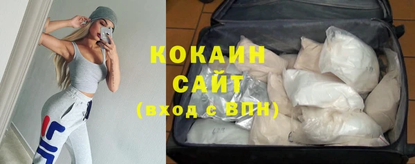тгк Алексин