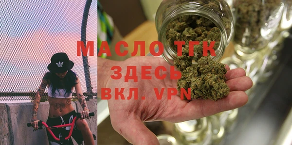 индика Семикаракорск