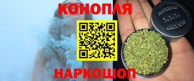 гидра Новокубанск