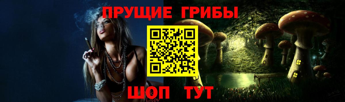 Тара  как найти   Вход с VPN  Псилоцибиновые грибы MAGIC MUSHROOMS 